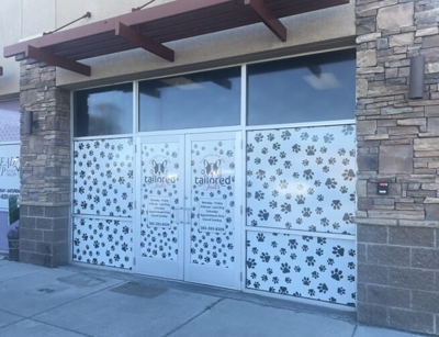 Window Graphics Photo